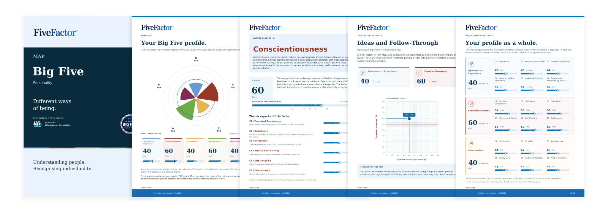 Selected report pages — Big Five